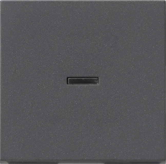 Gira Wippschalter anth 091428