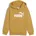 ESS Hoodie FL PS Jungen Kapuzensweater gelb Archive gold 116