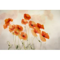 Fototapete PAPERMOON "Photo-Art NEL TALEN, IM WIND WINKEN", bunt, B:3,50m L:2,60m, Vlies, Tapeten