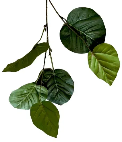 Philo Zweig x2 72cm grün