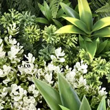 hjh living Pflanzenmatte /-wand / Vertikaler Garten LEAFLUXE WALL 1 50x50cm eckig grün hjh LIVING