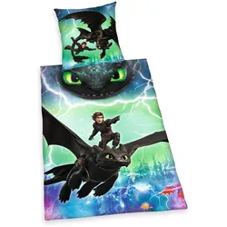 Bettwäsche Renforcé DRAGONS