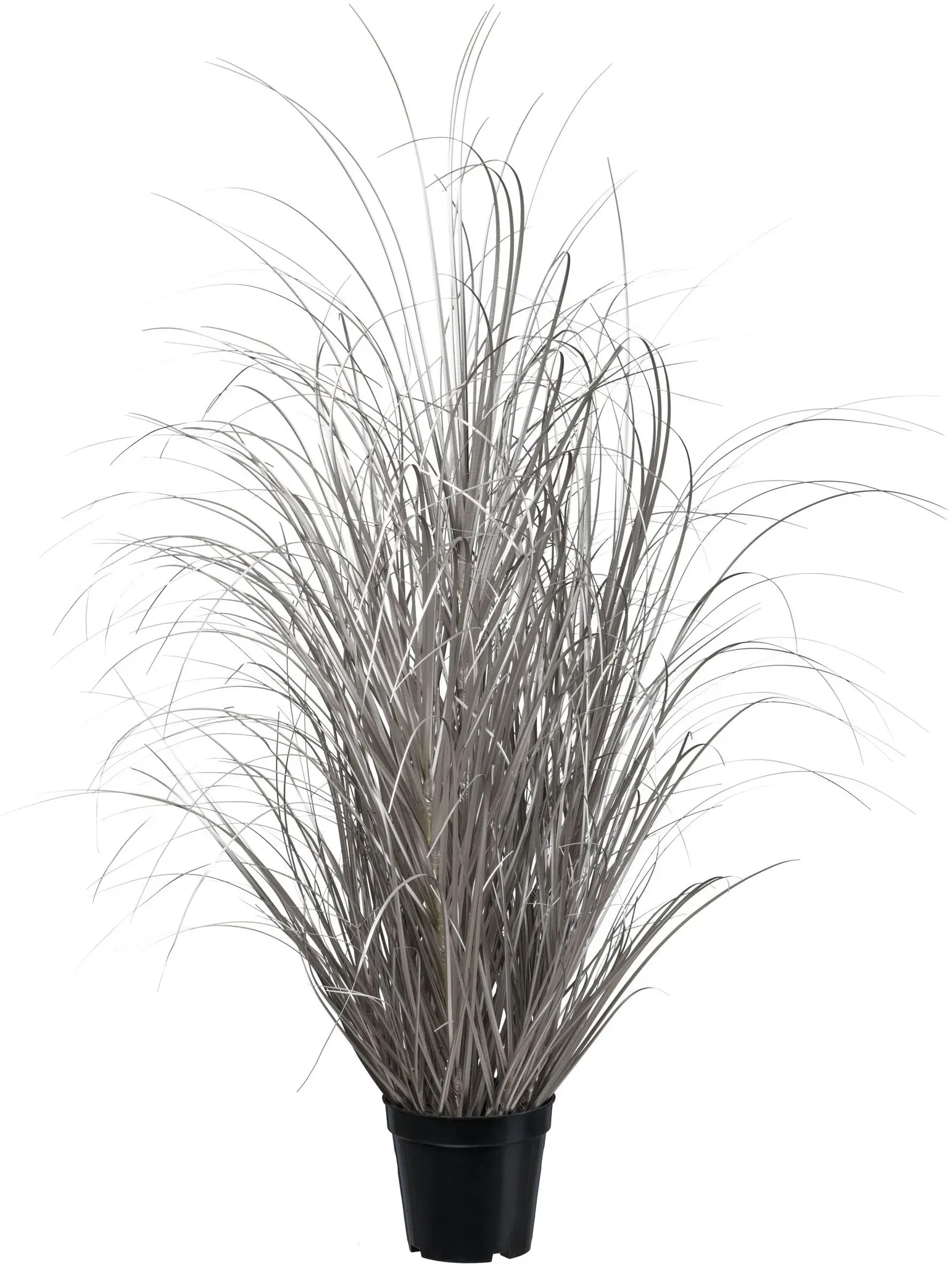 Kunstgras CREATIV GREEN "Gras", silber, H:93cm, Kunststoff, Kunstpflanzen, in moderner Farbgebung