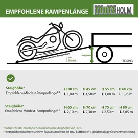 Trutzholm Auffahrrampe 680 kg