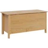 vidaXL Aufbewahrungsbox 90 x 40 x 45 cm 1-tlg. Honigbraun