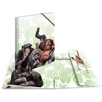 Herma Sammelmappe Tiere A3 affenbande