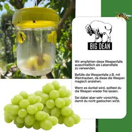 BigDean Wespenfalle Lebendfalle 3 St.