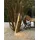 Zafferano Pencil Corten