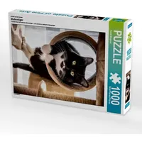 Calvendo Ein Motiv aus dem Kalender Stubentiger (Puzzle)