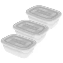 Rotho Frischhaltedose rechteckig transparent 19,5 x 13,5 x 10,0 cm 1 l 3-teiliges Set
