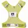 Nathan Streak Gelb/Gold S/M