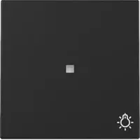 Gira Wippe mit Kontrollfenster und Symbol Licht, schwarz matt