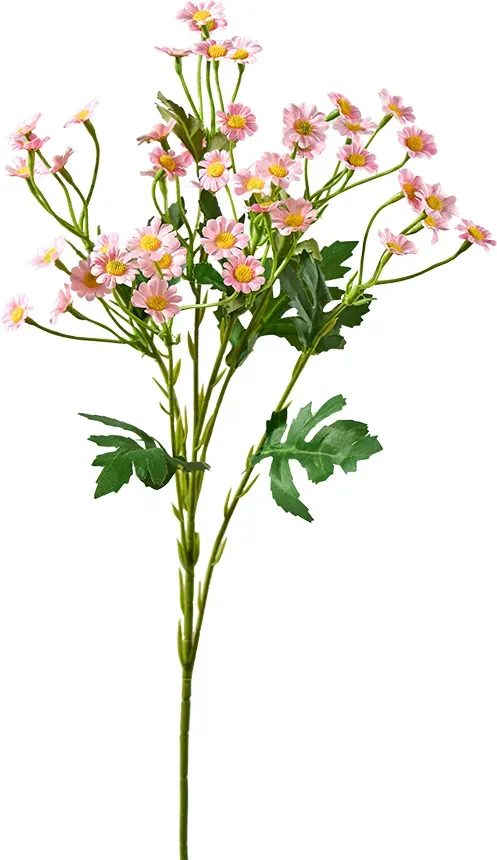 Gänseblümchen 61cm x6 pink