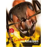 NTV Natur und Tier-Verlag Entdecke die Ameisen