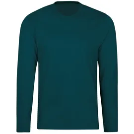 TRIGEMA T-Shirt "TRIGEMA Langarmshirt aus 100% Baumwolle", Herren, Gr. XL, saphir, Single Jersey, 100% Baumwolle, Basic, lang, Rundhals, Shirts T-Shirt