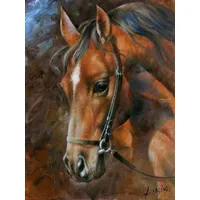 Pracht Creatives Hobby GmbH Diamond Painting Pferd 40x30 cm