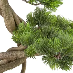 CREATIV green künstliche Pflanze Bonsai Kiefer ca 70x45cm