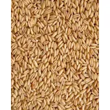 Nackthafer (Haferkerne) 25kg - 25 kg