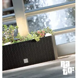 Prosperplast Rato Case 51,4 x 19 x 18,65 cm Anthrazit