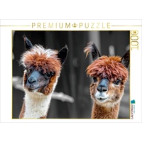 Calvendo Puzzle Alpaka Gesichter 1000 Teile Puzzle quer |
