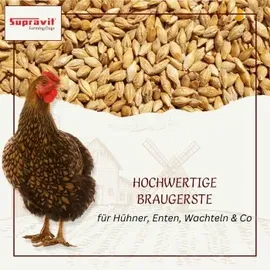 Supravit Braugerste Ergänzungsfutter für Hühner & Tauben 25 kg