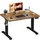 JUMMICO Höhenverstellbar Schreibtisch 100 x 60 cm Standing Desk Elektrischer Schreibtisch Höhenverstellbar mit Memory-Funktion,Braun