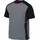 Nike Academy Dri-Fit Herren Trikot grau - Cool Grey/Black/Bright crimson