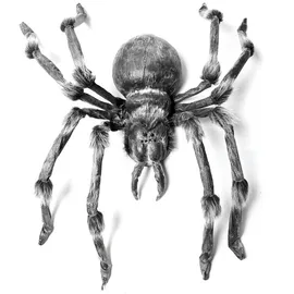 Europalms Monsterspider ca. 130cm