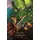 Games Workshop Warhawk (Volume 6) (The Horus Heresy: Siege of Terra, Band 6)