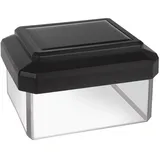 Green Blue LED Solarlampe für Zaunpfähle schwarz 60x40 mm inkl. Akku mit Dämmerungssensor