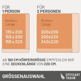 SPESSARTTRAUM Warme Ganzjahres-Daunendecke RUBIN in Weiß
