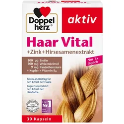 Doppelherz aktiv Haar Vital + Zink + Hirseextrakt 30 St