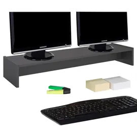 CARO-Möbel Monitorständer Zoom für 2 Monitore 100 x 15 x 27 cm Grau