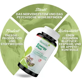 Biostile Energie Plus Stoffwechsel Kapseln 60 St.