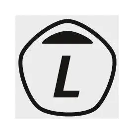 Kärcher Flachfilter 6.904-367.0