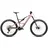 2025 29 Zoll desert rose/carbon raw matt L
