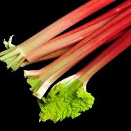 YODEYMA Linet Eau de Parfum 50 ml