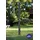 Gre PVC Solardusche 20 l schwarz 40664A