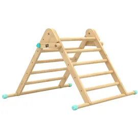 TP Toys Active Tots Triangle