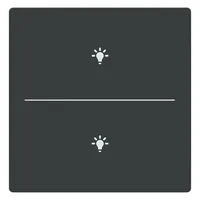 Busch-Jaeger Abdeckung als Taster LFBT/A.2.63.11-81