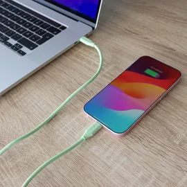 InLine USB C Kabel 100W für iPhone Air 17 Pro 16 15 iPad Galaxy S23 Pixel Tablets Matcha Latte