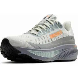 Brooks Ghost 17 GTX Herren Smoke/Primer Grey/Orange 44