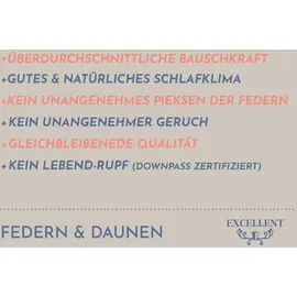 Excellent »Venedig«, Füllung: weiße neue Federn und Daunen, Klasse I, 85% Federn / 15% Daunen, Bezug: Köper-Inlett, 100% Baumwolle, (Spar-Set, 2 St., 2 Kopfkissen), Kopfkissen 40x40, 40x80, 80x80, allergiker geeignet (Hausstaub)