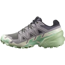 Salomon Speedcross 6 Damen Castle Rock/Vanilla Ice/Smoke Green 41 1/3