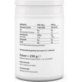VITA-WORLD Vitaworld D(+)Galactose Pulver 250 g