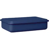 RIESS Vorratsbehälter mit Deckel rechteckig heidelbeerblau 23 x 15 x 5 cm 1 l