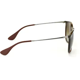 Ray-Ban Erika RB4171 710/T5 54-18 tortoise-gunmetal/brown gradient