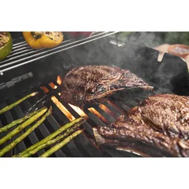 Weber Spirit E-310 schwarz 1500862