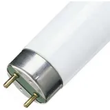 Philips Master TL-D 90 De Luxe 18W/950 G13