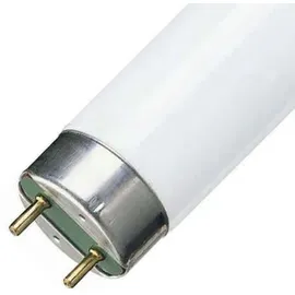 Philips Master TL-D 90 De Luxe 18W/950 G13